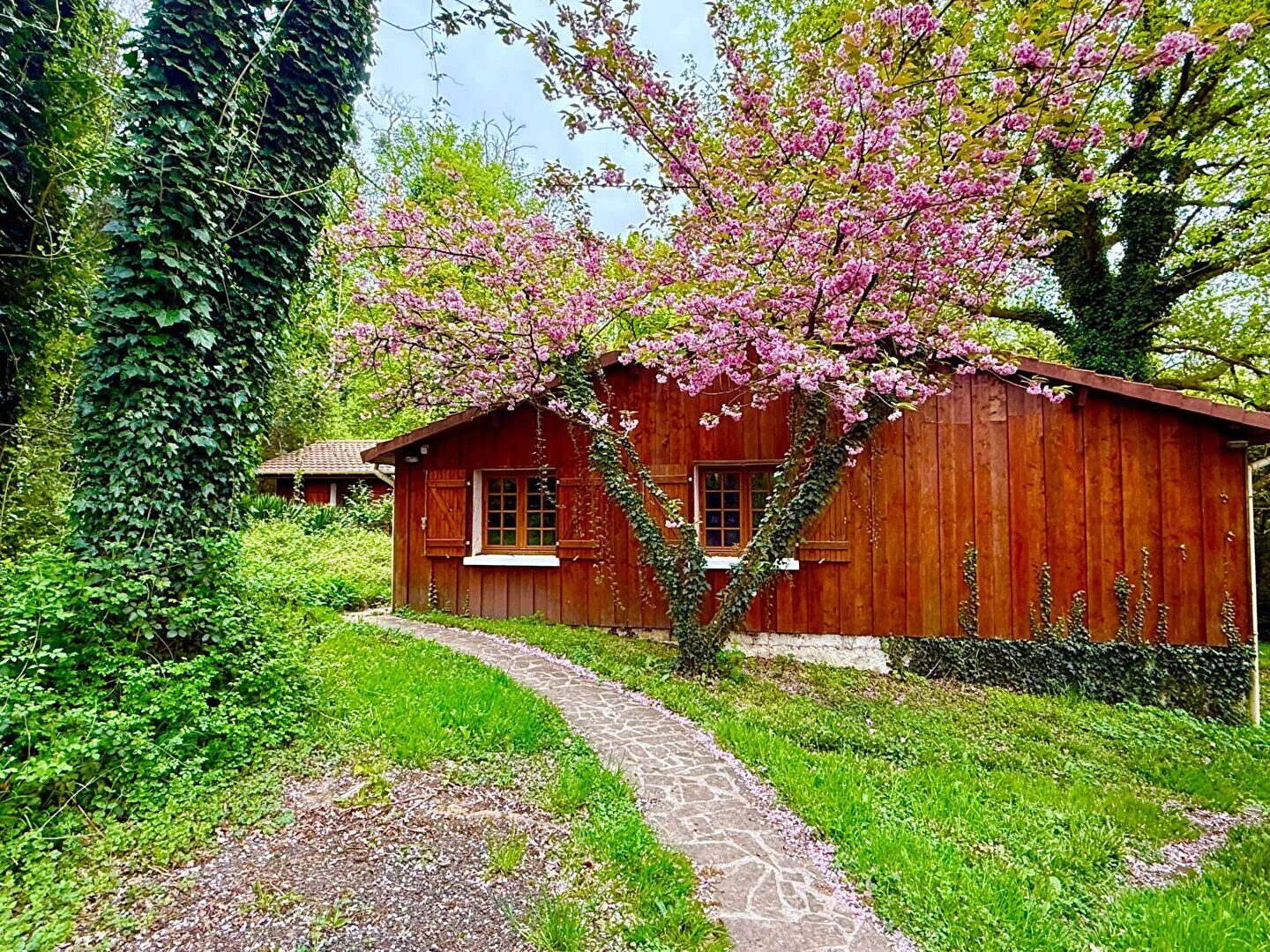 Property view 5